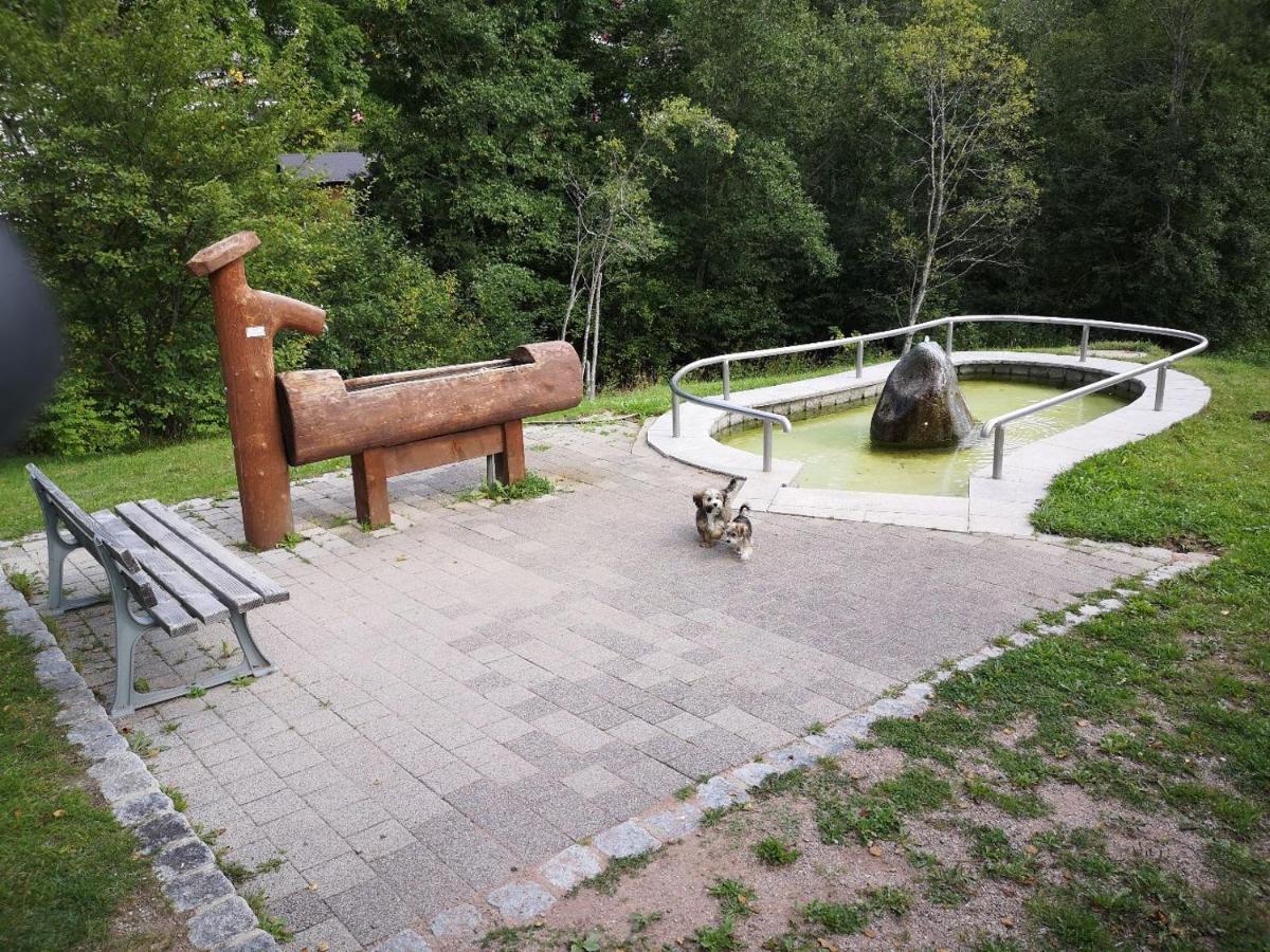 C1 Albmatte-Fewo Sauna, Hallenbad Aussenbecken Massagen Nebenan Menzenschwand-Hinterdorf Zewnętrze zdjęcie