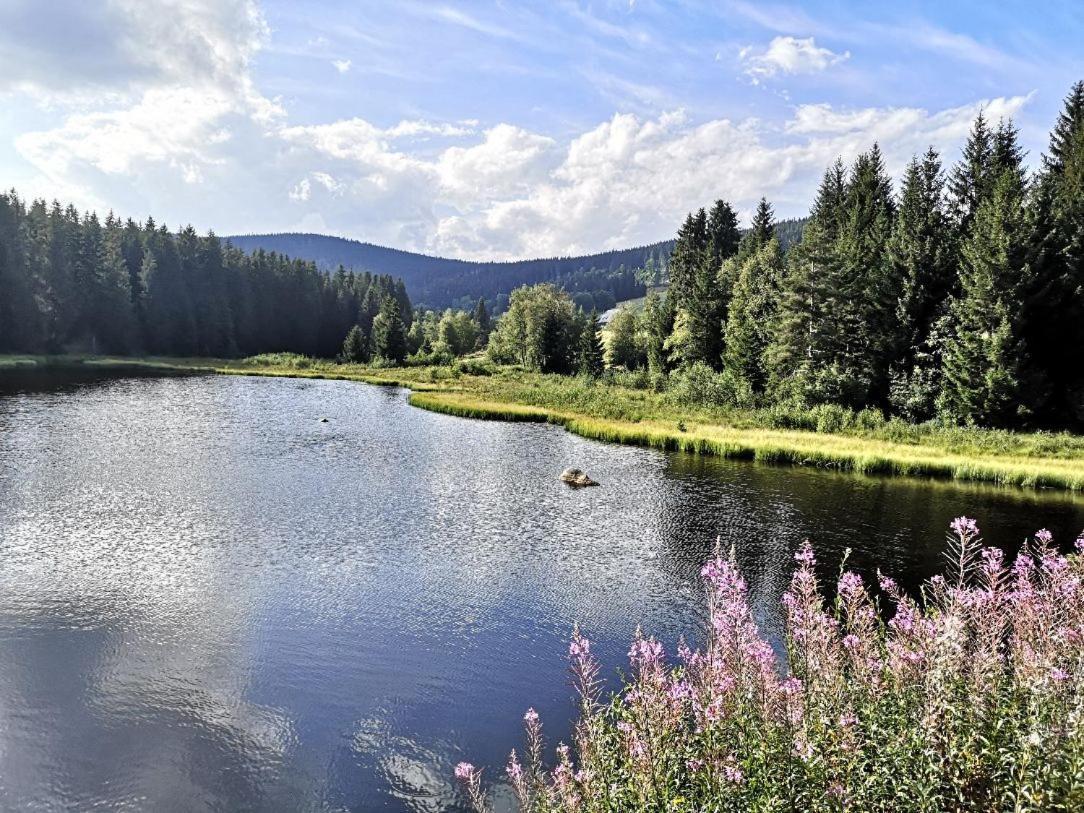 C1 Albmatte-Fewo Sauna, Hallenbad Aussenbecken Massagen Nebenan Menzenschwand-Hinterdorf Zewnętrze zdjęcie