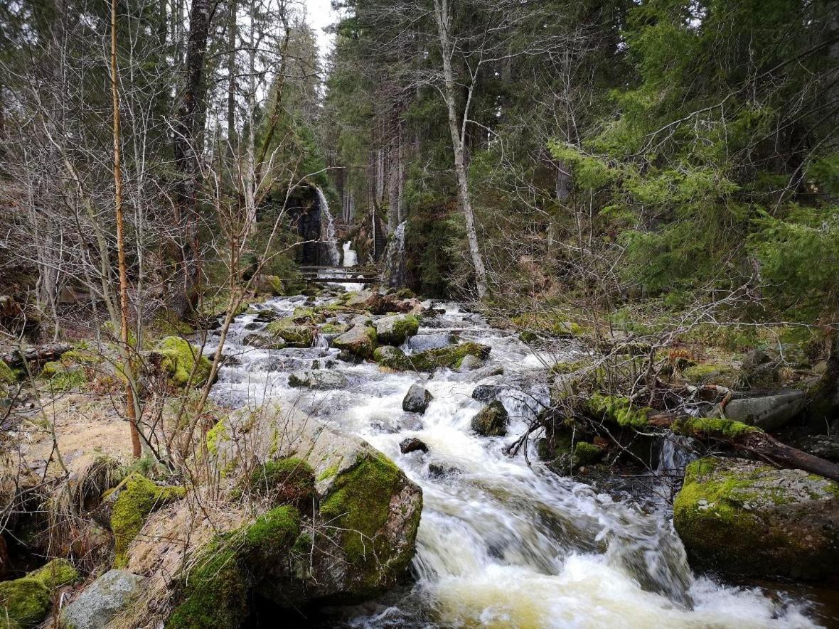 C1 Albmatte-Fewo Sauna, Hallenbad Aussenbecken Massagen Nebenan Menzenschwand-Hinterdorf Zewnętrze zdjęcie