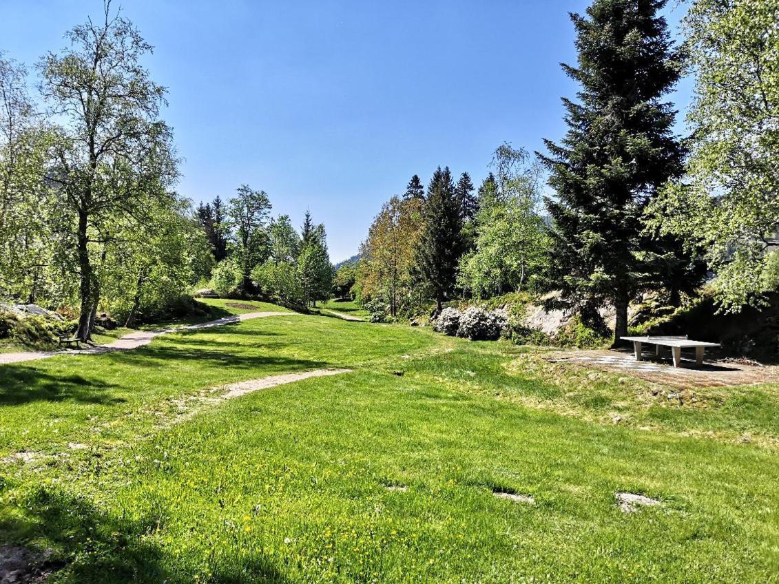 C1 Albmatte-Fewo Sauna, Hallenbad Aussenbecken Massagen Nebenan Menzenschwand-Hinterdorf Zewnętrze zdjęcie