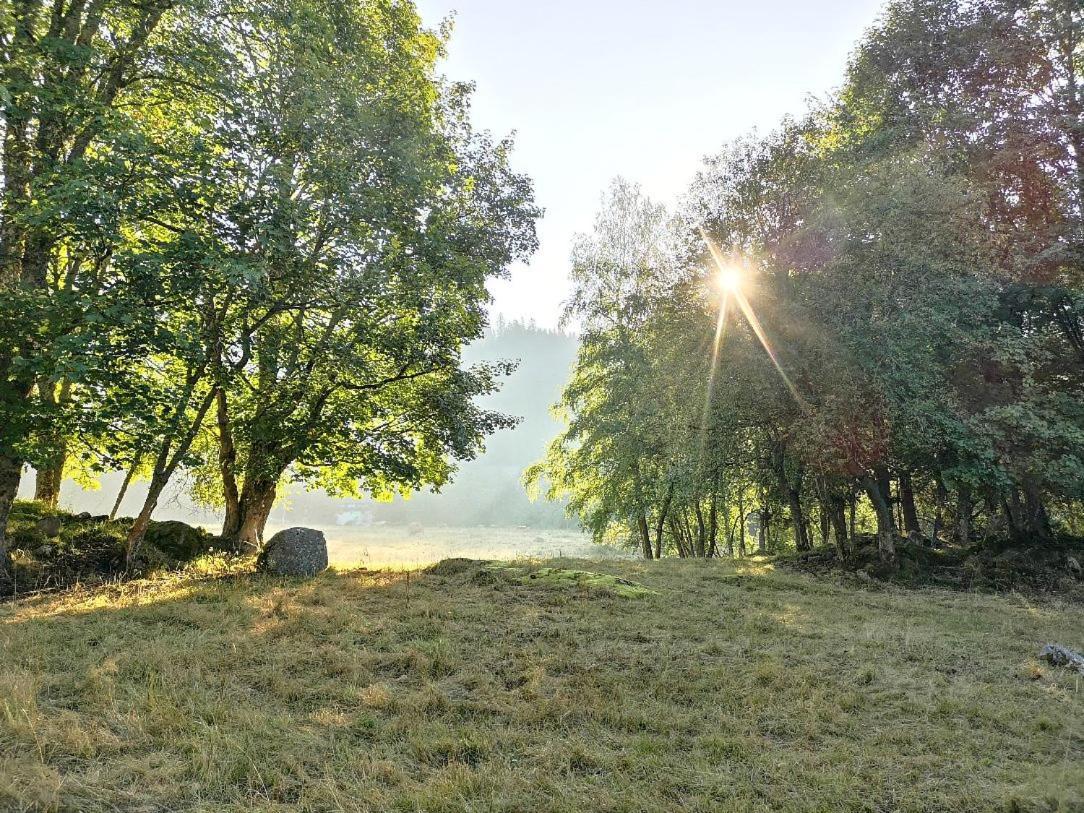 C1 Albmatte-Fewo Sauna, Hallenbad Aussenbecken Massagen Nebenan Menzenschwand-Hinterdorf Zewnętrze zdjęcie