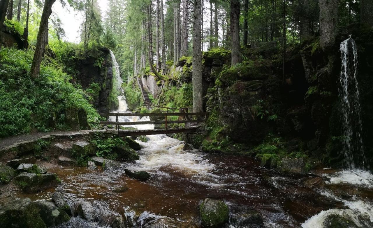 C1 Albmatte-Fewo Sauna, Hallenbad Aussenbecken Massagen Nebenan Menzenschwand-Hinterdorf Zewnętrze zdjęcie