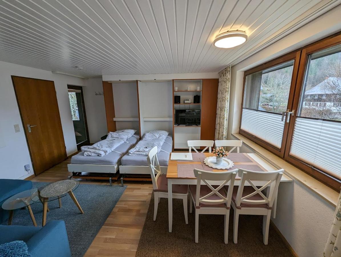 C1 Albmatte-Fewo Sauna, Hallenbad Aussenbecken Massagen Nebenan Menzenschwand-Hinterdorf Zewnętrze zdjęcie
