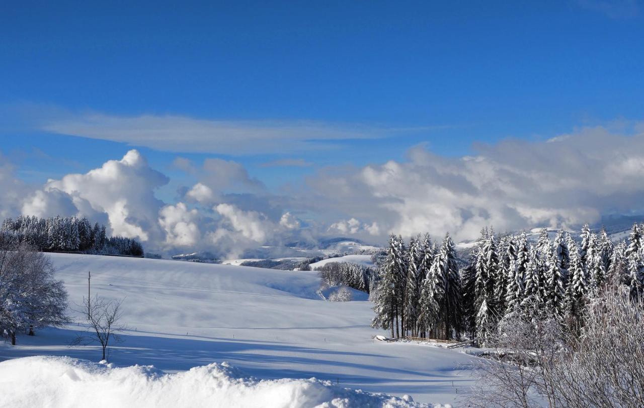 C1 Albmatte-Fewo Sauna, Hallenbad Aussenbecken Massagen Nebenan Menzenschwand-Hinterdorf Zewnętrze zdjęcie