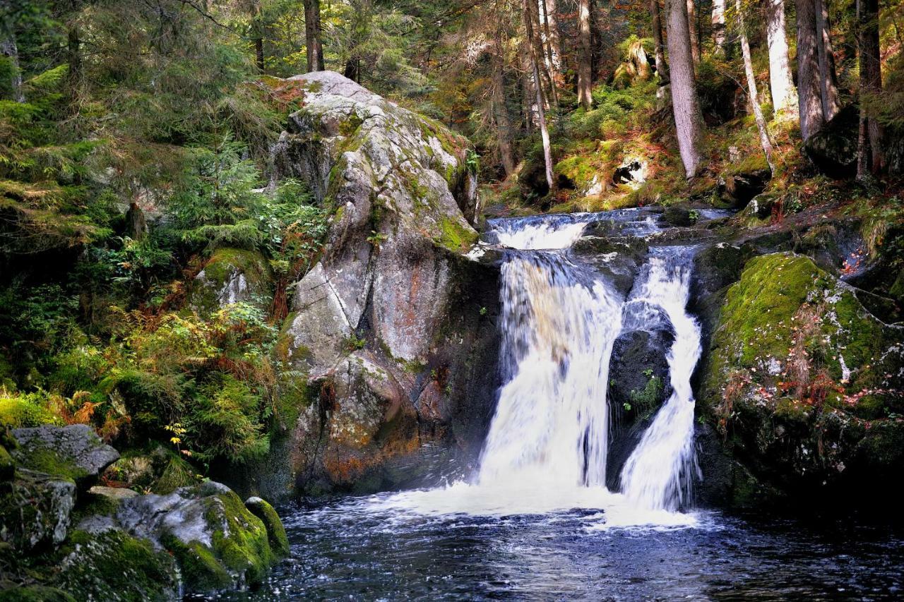 C1 Albmatte-Fewo Sauna, Hallenbad Aussenbecken Massagen Nebenan Menzenschwand-Hinterdorf Zewnętrze zdjęcie
