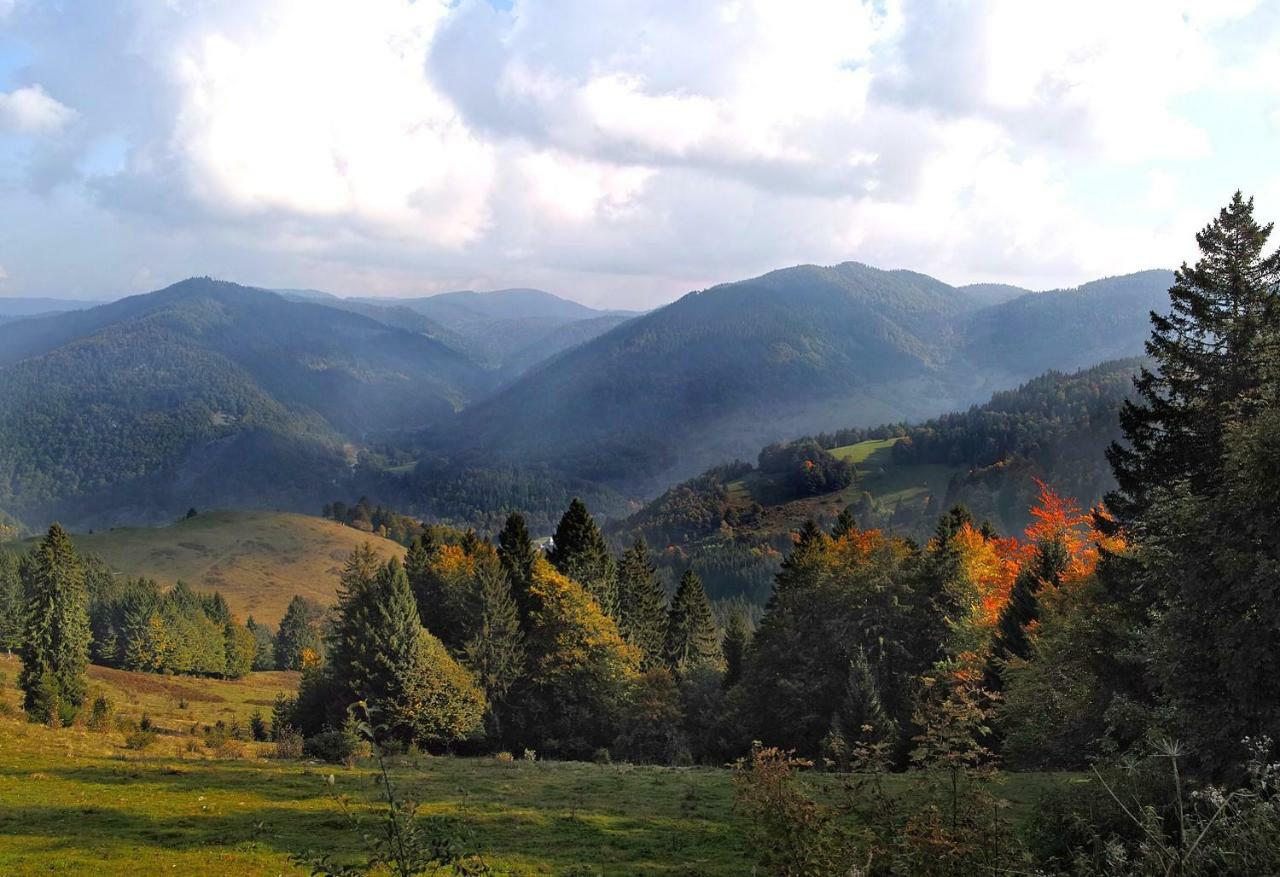 C1 Albmatte-Fewo Sauna, Hallenbad Aussenbecken Massagen Nebenan Menzenschwand-Hinterdorf Zewnętrze zdjęcie