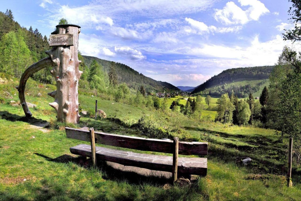 C1 Albmatte-Fewo Sauna, Hallenbad Aussenbecken Massagen Nebenan Menzenschwand-Hinterdorf Zewnętrze zdjęcie