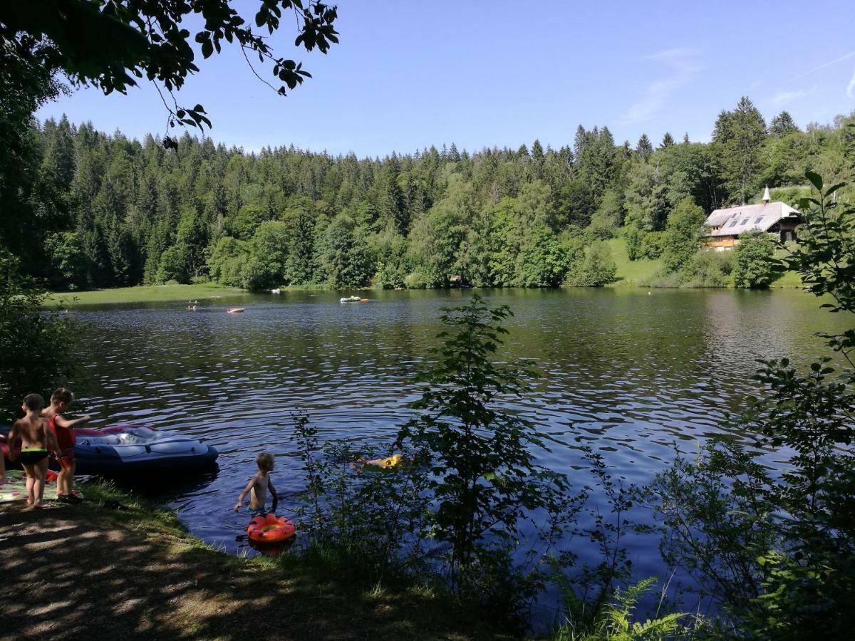 C1 Albmatte-Fewo Sauna, Hallenbad Aussenbecken Massagen Nebenan Menzenschwand-Hinterdorf Zewnętrze zdjęcie
