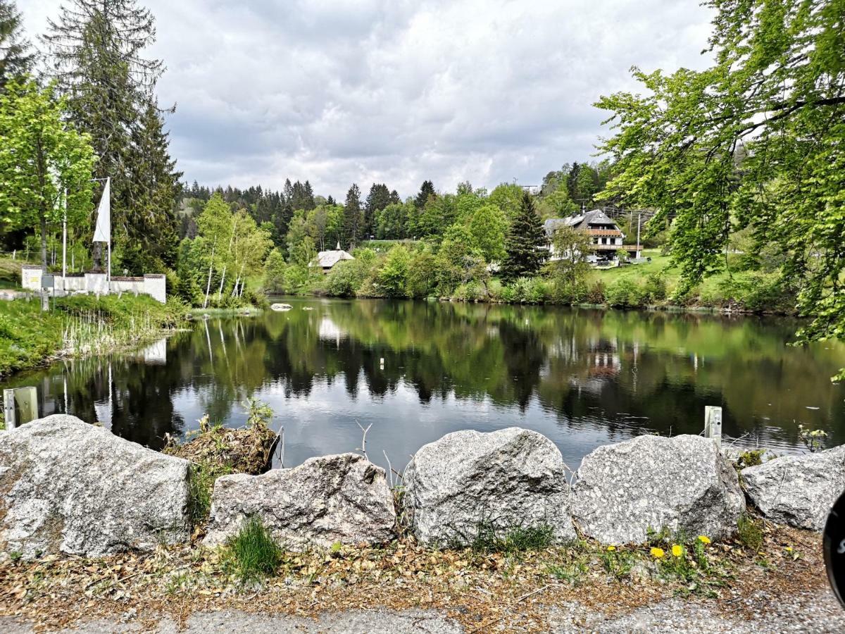 C1 Albmatte-Fewo Sauna, Hallenbad Aussenbecken Massagen Nebenan Menzenschwand-Hinterdorf Zewnętrze zdjęcie