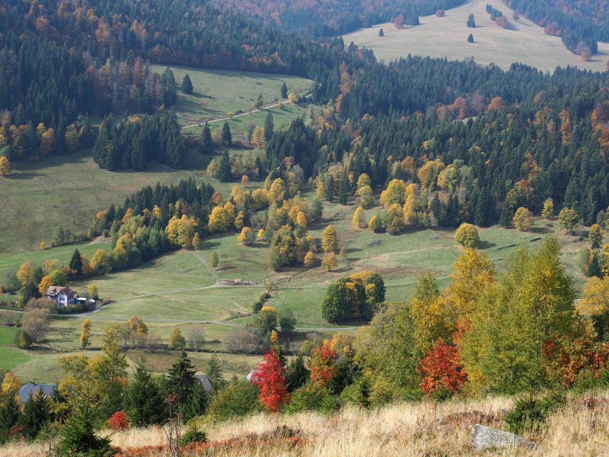 C1 Albmatte-Fewo Sauna, Hallenbad Aussenbecken Massagen Nebenan Menzenschwand-Hinterdorf Zewnętrze zdjęcie
